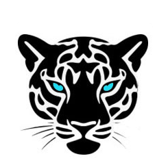 Čierny jaguár